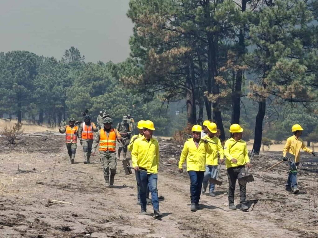 Controlado al 65 por ciento incendio forestal en Balleza