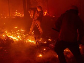 Registra SDR siete incendios forestales activos en el estado